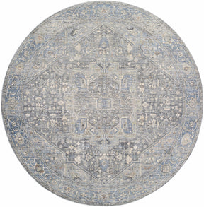 Alina Area Rug - Clearance - Ornate Home