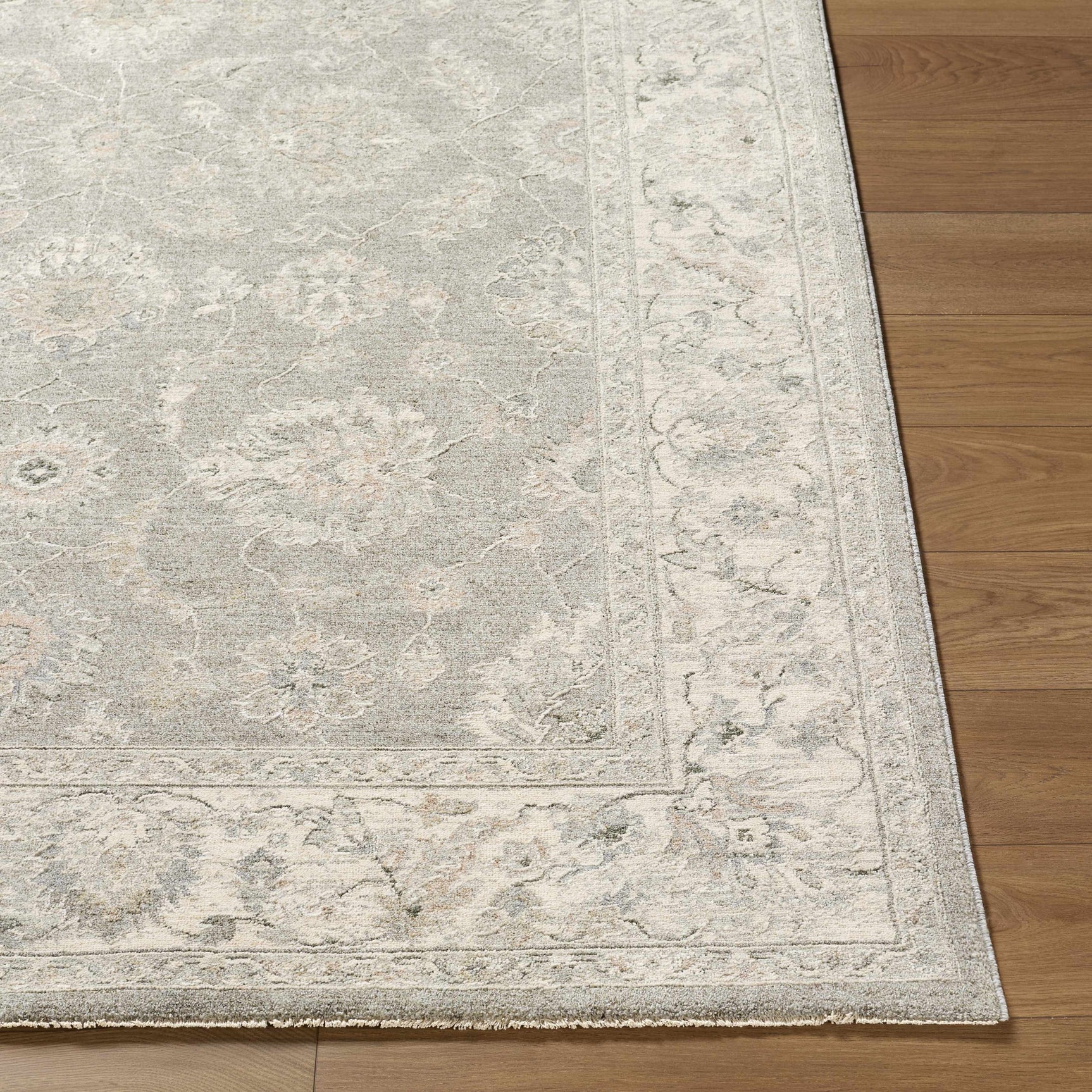 Alinae Area Rug - Ornate Home
