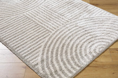 Allard Gray Washable Area Rug - Ornate Home