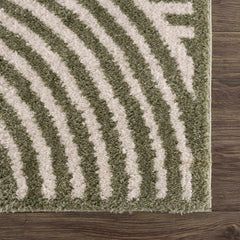 Allard Green Washable Area Rug - Ornate Home