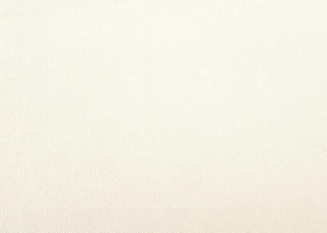 Allura White Full Panel Bed w/ LED Light HB - Ornate Home