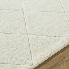 Almeda Washable Wool Area Rug - Ornate Home