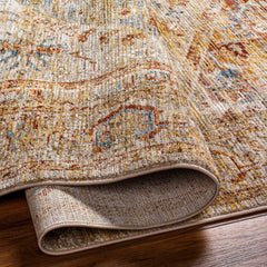 Alois Rust Rich Textured Traditional Rug - Ornate Home