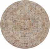 Alois Rust Rich Textured Traditional Rug - Ornate Home