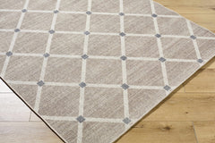 Alpana Washable Wool Area Rug - Ornate Home