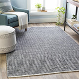 Alta Area Rug - Clearance - Ornate Home