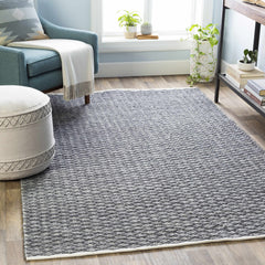 Alta Area Rug - Clearance - Ornate Home