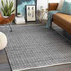 Alta Area Rug - Clearance - Ornate Home