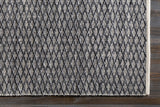 Alta Area Rug - Clearance - Ornate Home