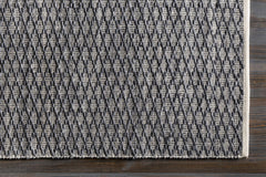 Alta Area Rug - Clearance - Ornate Home