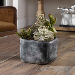 Alverio Black/Green Desert Garden Succulents - Ornate Home