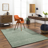 Alyra Green Solid Area Rug - Ornate Home