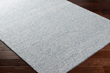 Alyra Light Blue Solid Wool Rug - Ornate Home