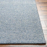 Alyra Light Blue Solid Wool Rug - Ornate Home