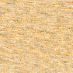 Alyra Yellow Solid Area Rug - Clearance - Ornate Home