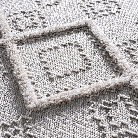 Amaga Area Rug - Ornate Home