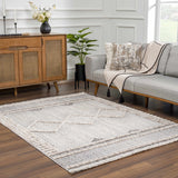 Amaga High-Low Rustic Rug - Ornate Home