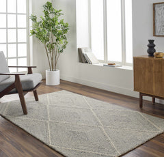 Amari Area Rug - Clearance - Ornate Home