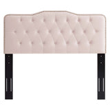 Amber Pink Performance Velvet Twin Platform Bed - Ornate Home
