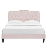Amber Pink Performance Velvet Twin Platform Bed - Ornate Home