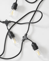 Ambience Pro LED Plug-in String Lights 1W - Ornate Home
