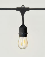 Ambience Pro LED Plug-in String Lights 1W - Ornate Home