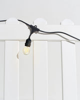 Ambience Pro LED Plug-in String Lights 1W - Ornate Home