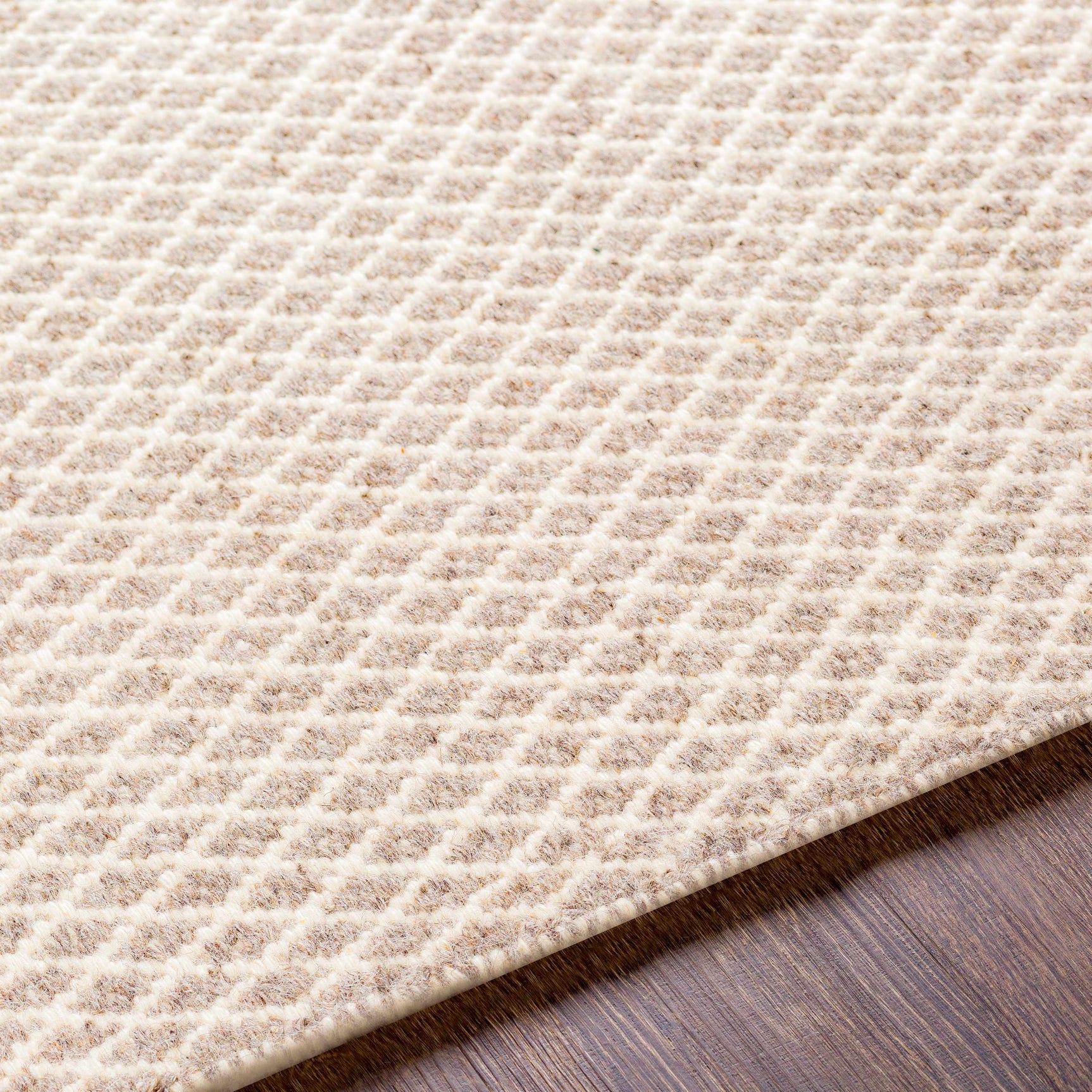 Amelia Area Rug - Clearance - Ornate Home