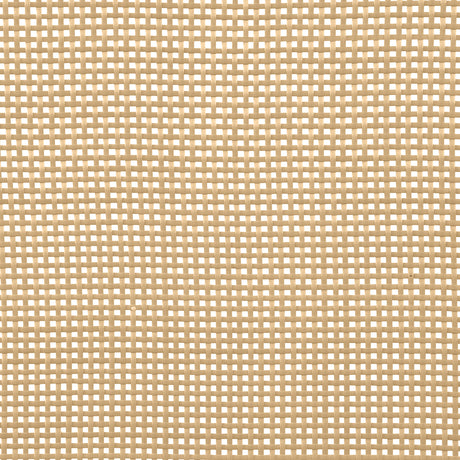 Amherst Black Radio Weave Cane Queen Bed - Ornate Home