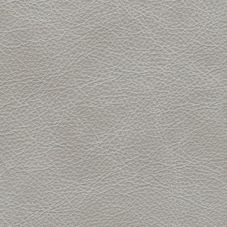 Amiata Glacier 2-Piece Sectional with Chaise and Ottoman - Ornate Home