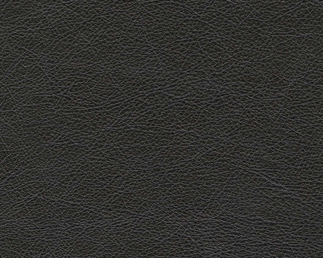 Amiata Onyx Leather Living Room Set / 2pc - Ornate Home