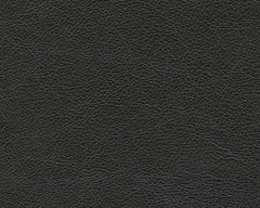Amiata Onyx Leather Sofa - Ornate Home