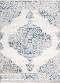 Amir Area Rug - Clearance - Ornate Home