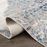 Amir Area Rug - Clearance - Ornate Home