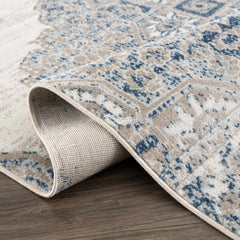 Amir Area Rug - Clearance - Ornate Home