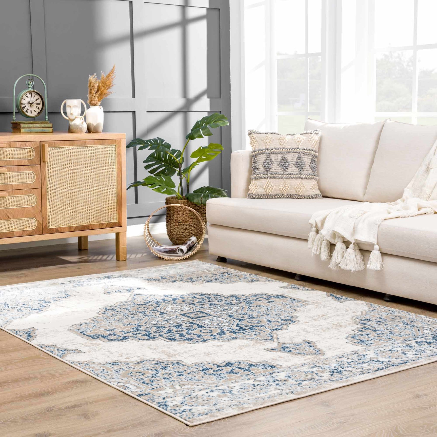 Amir Area Rug - Clearance - Ornate Home