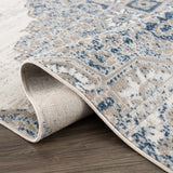 Amir Blue Medallion Area Rug - Ornate Home