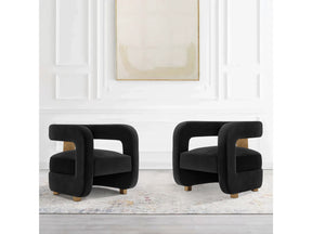 Amirah Accent Chair in Black (set of 2) - Ornate Home