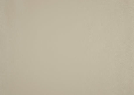 Amite Beige Double Reclining Loveseat - Ornate Home