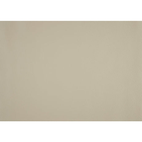 Amite Beige Double Reclining Loveseat - Ornate Home