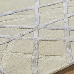 Amjad Area Rug - Clearance - Ornate Home