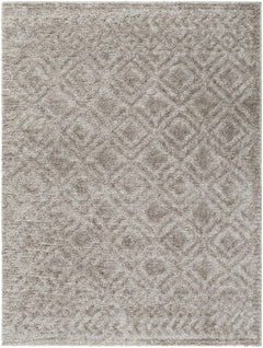 Amnon Area Rug - Ornate Home