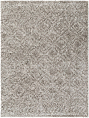 Amnon Area Rug - Ornate Home