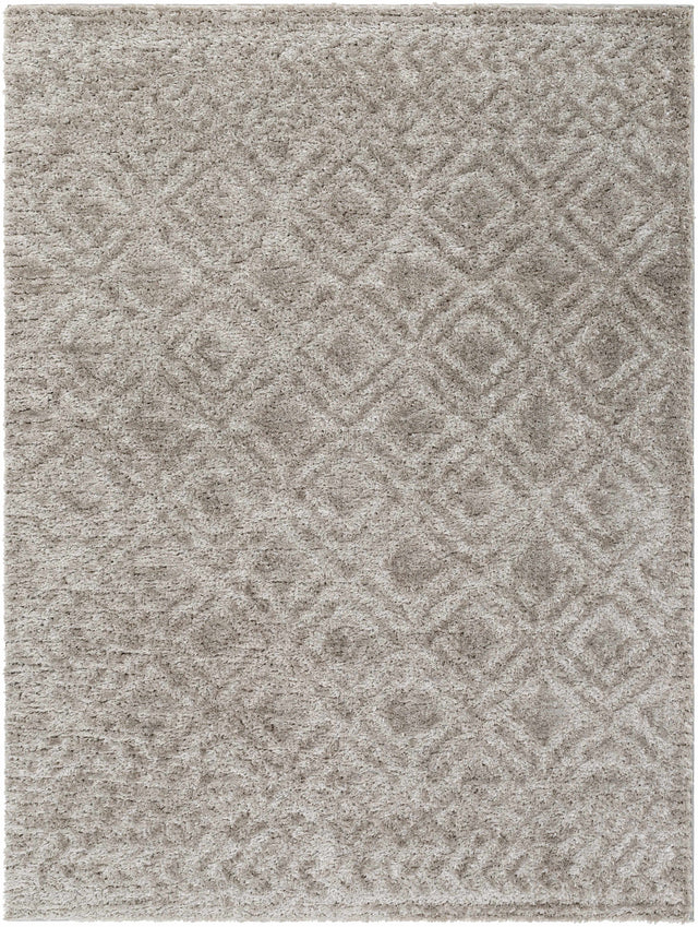 Amnon Area Rug - Ornate Home
