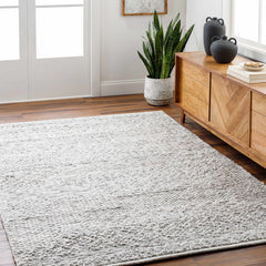 Amon Area Rug - Clearance - Ornate Home
