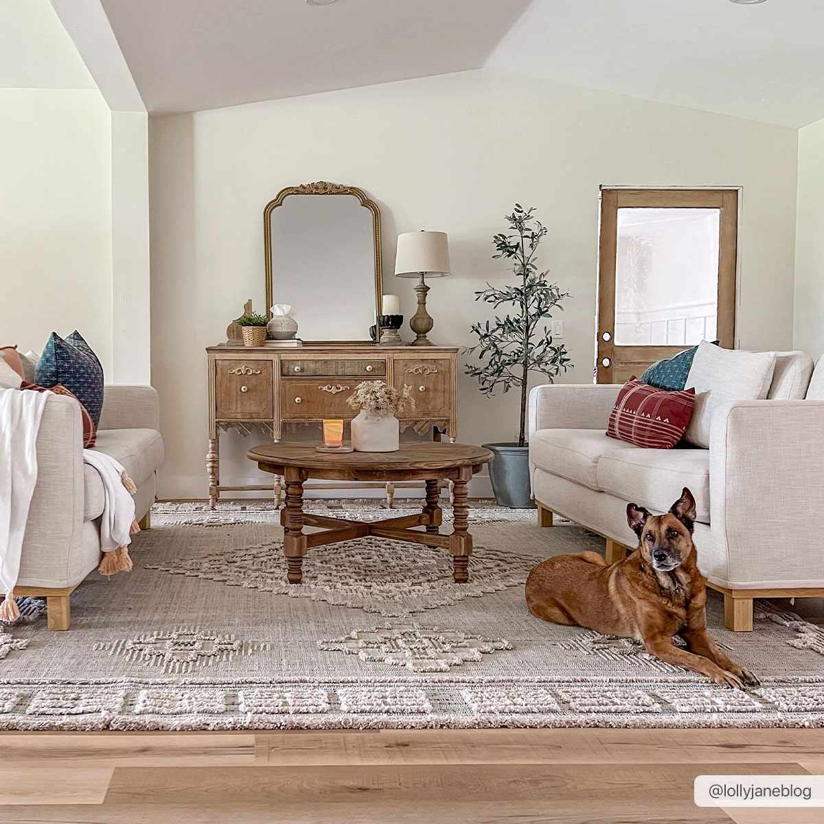 Ampusungan Area Rug - Ornate Home