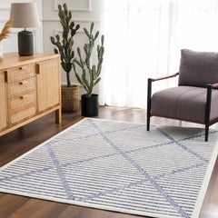 Anah Blue Outdoor Rug - Ornate Home