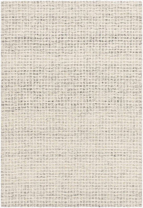Anahid Beige Area Rug - Ornate Home