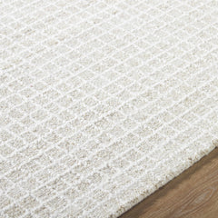 Anahid Bone Area Rug - Clearance - Ornate Home
