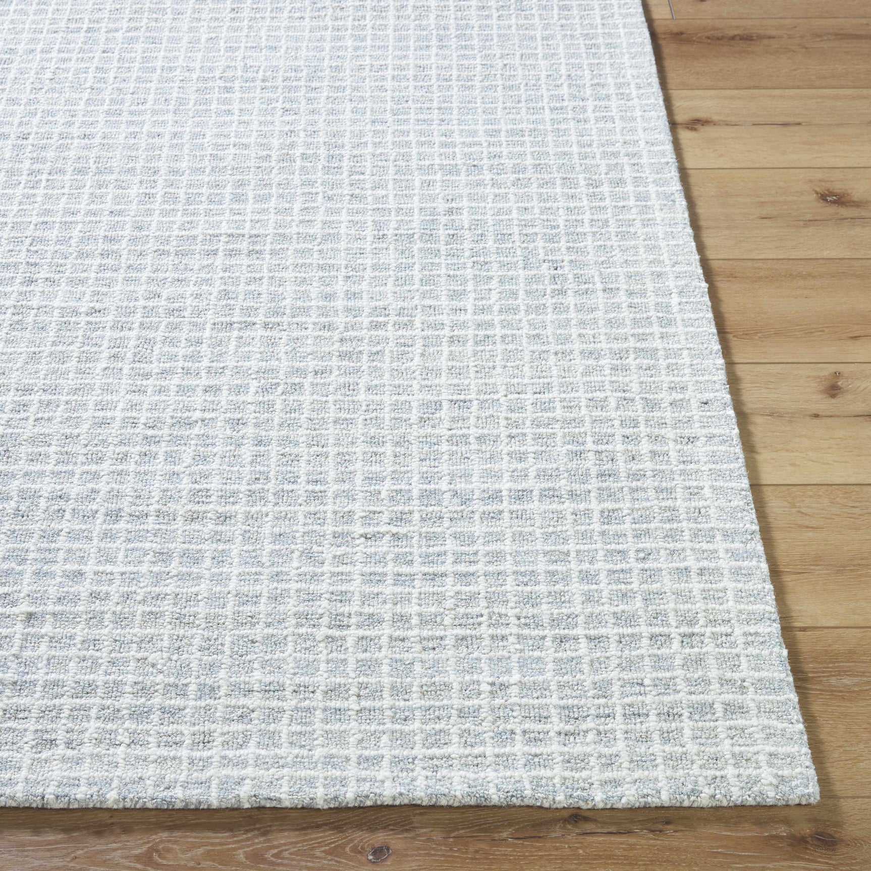 Anahid Soft Blue Area Rug - Ornate Home